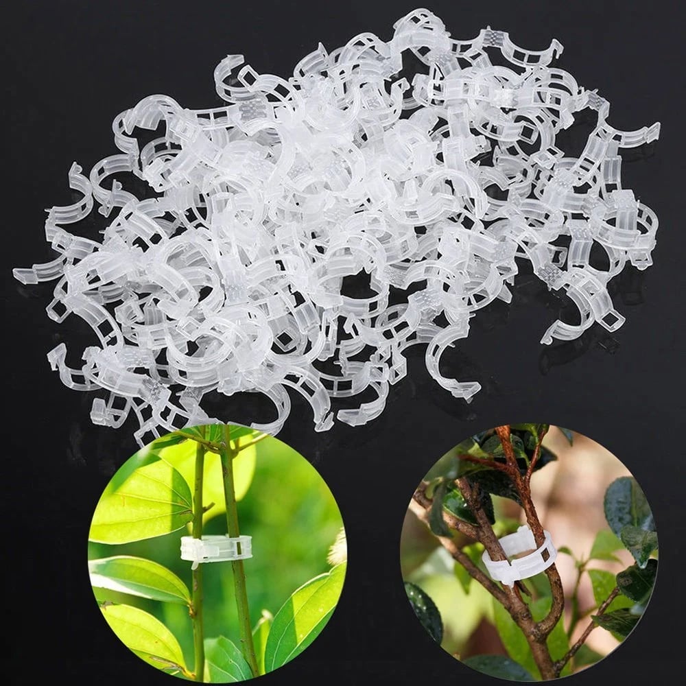 🔥Last Day 75% OFF🔥--🪴Plant Support Clips