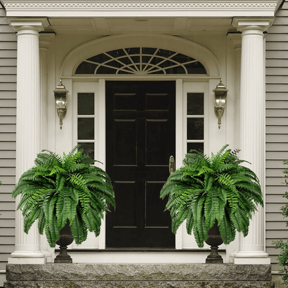 ☀️Last Day 75% OFF--🪴UV Resistant Lifelike Artificial Boston Fern