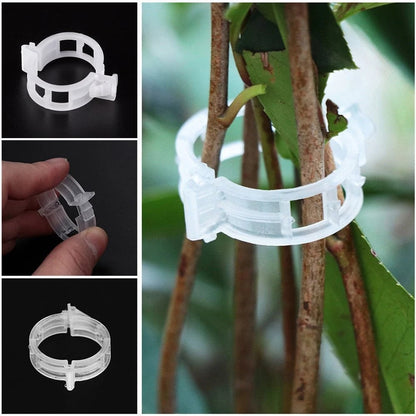 🔥Last Day 75% OFF🔥--🪴Plant Support Clips