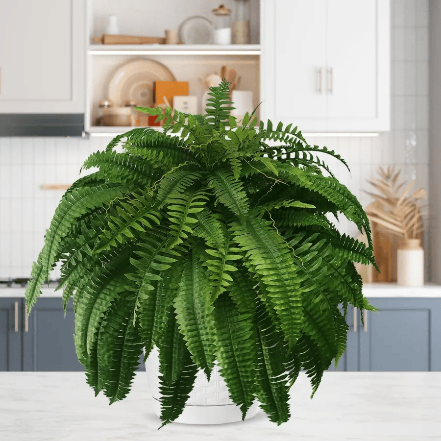 ☀️Last Day 75% OFF--🪴UV Resistant Lifelike Artificial Boston Fern