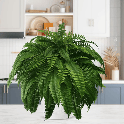☀️Last Day 75% OFF--🪴UV Resistant Lifelike Artificial Boston Fern