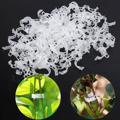 🔥Last Day 75% OFF🔥--🪴Plant Support Clips