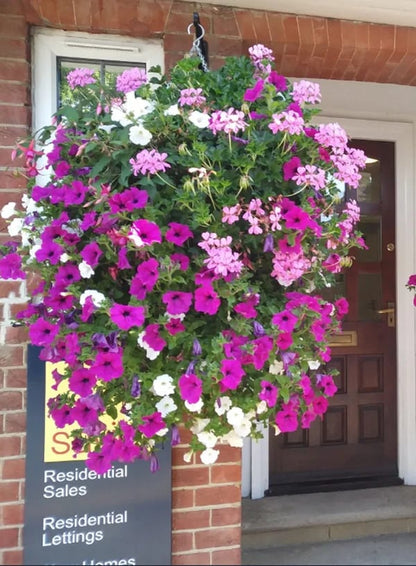 This Week's Special Sale 75% Off- 🪴UV Simulation Artificial flower