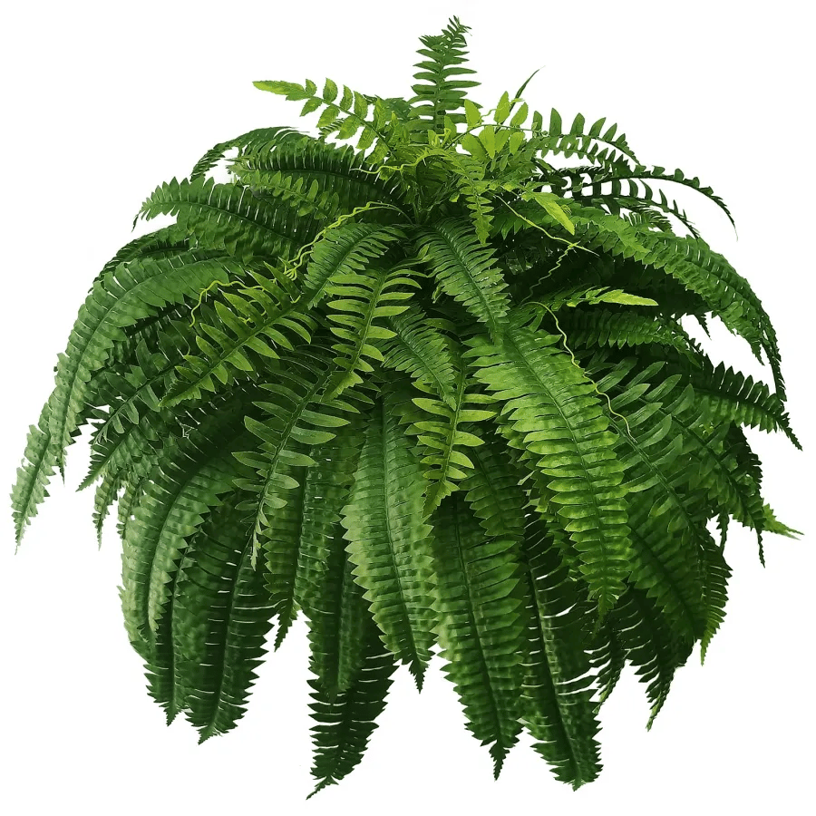 ☀️Last Day 75% OFF--🪴UV Resistant Lifelike Artificial Boston Fern