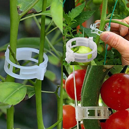 🔥Last Day 75% OFF🔥--🪴Plant Support Clips
