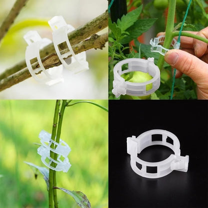 🔥Last Day 75% OFF🔥--🪴Plant Support Clips