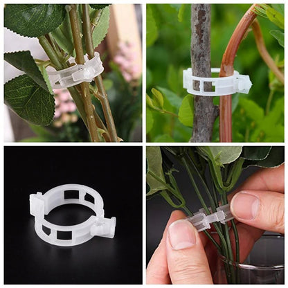 🔥Last Day 75% OFF🔥--🪴Plant Support Clips