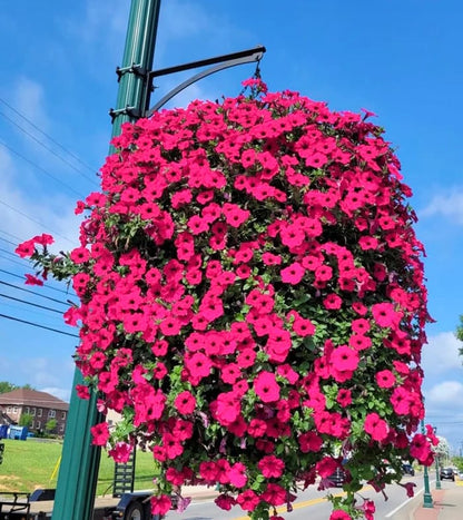 This Week's Special Sale 75% Off- 🪴UV Simulation Artificial flower