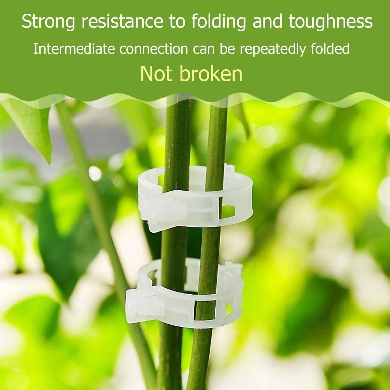 🔥Last Day 75% OFF🔥--🪴Plant Support Clips